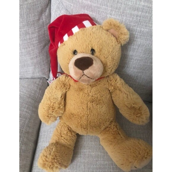 Amazon Gund Bear - Picture 1 of 2